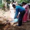 Tree planting program implemented in the office premises